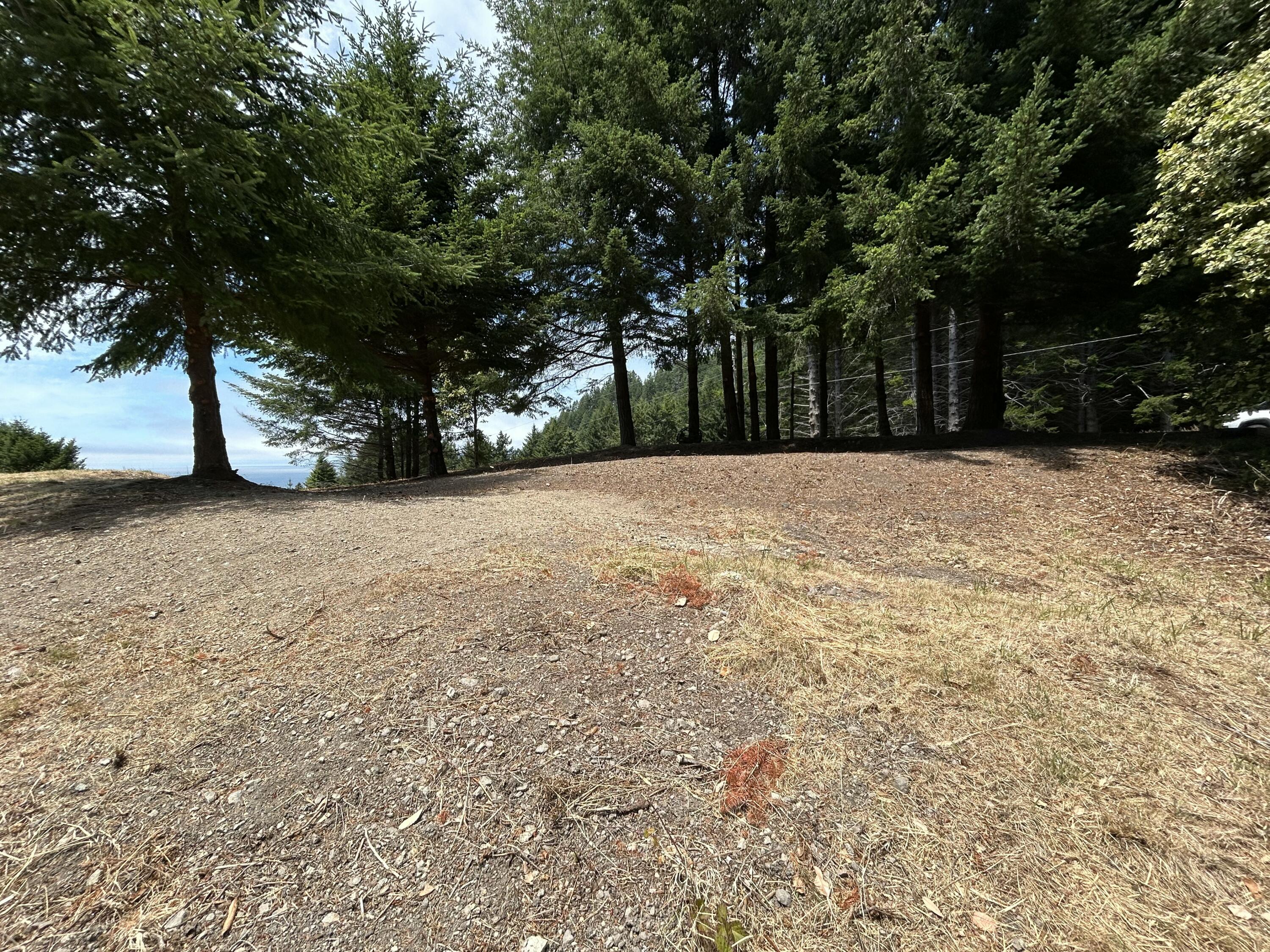 542-554 Ridge Road Shelter Cove, CA 95589 - Photo 6 of 20