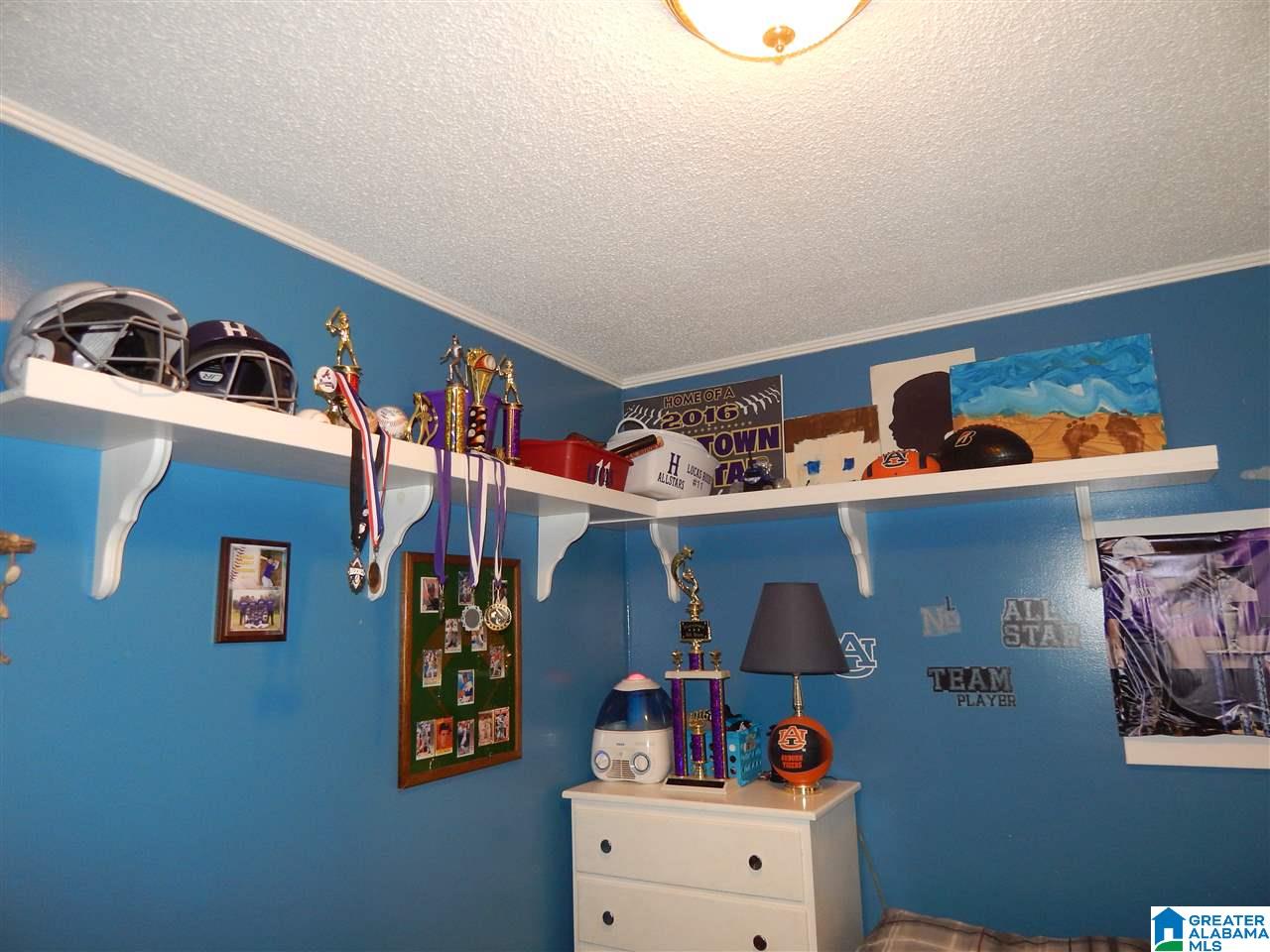 2920 Valley View Circle Adamsville, AL 35005 - Photo 10 of 13