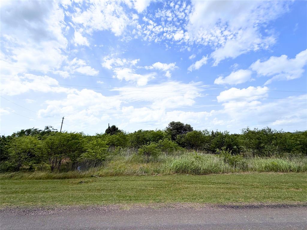 733 Marion Road Venus, TX 76084 - Photo 5 of 5