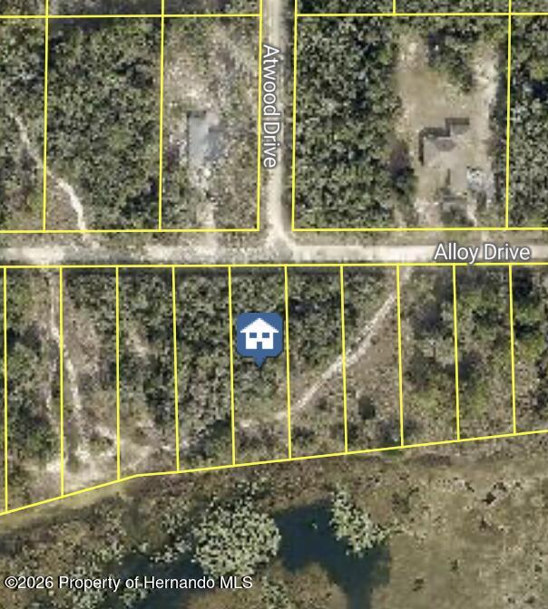 7149 Alloy Street Webster, FL 33597 - Photo 9 of 10