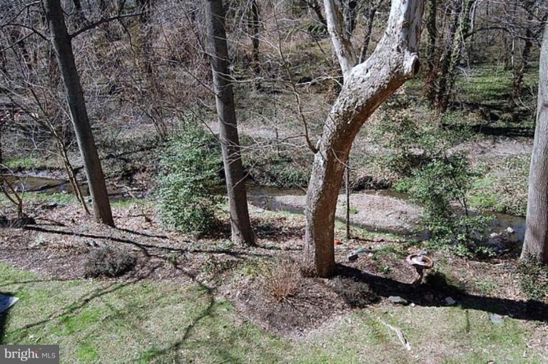 154 Rees Place Falls Church, VA 22046 - Photo 11 of 21 a view of a forest filled with trees