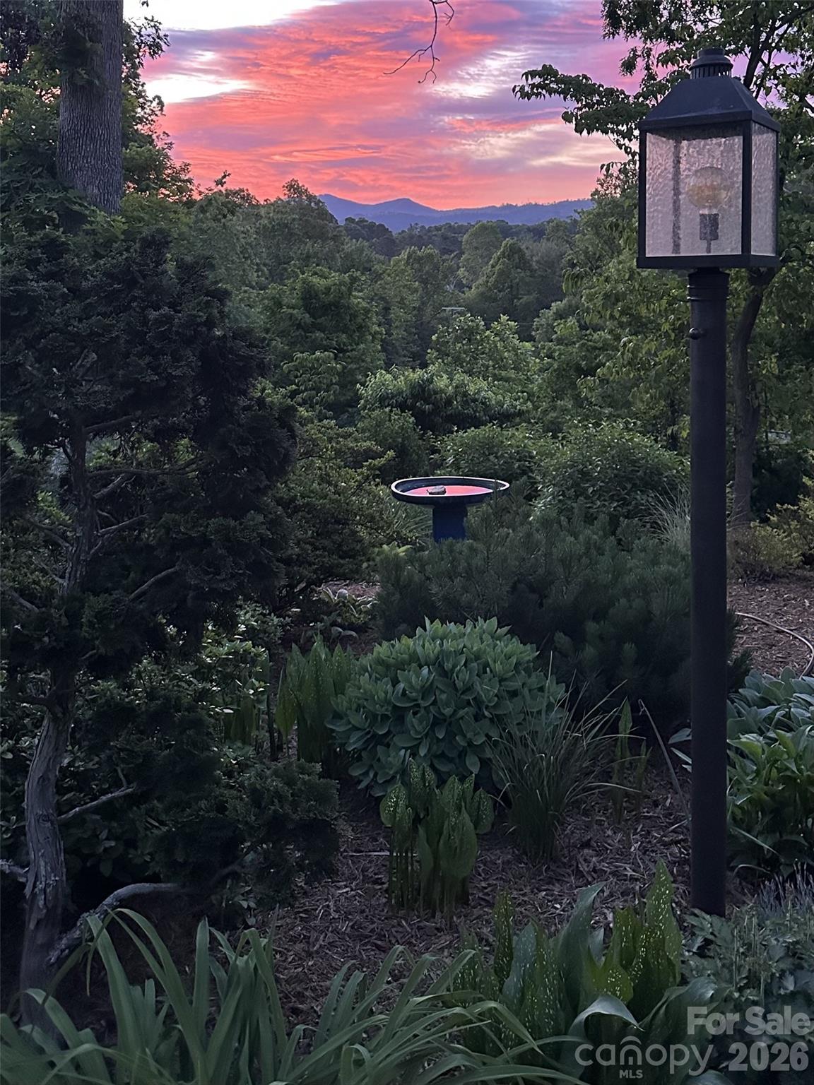 210 Wildflower Road Asheville, NC 28804 - Photo 5 of 46 a view of a city with flower plants