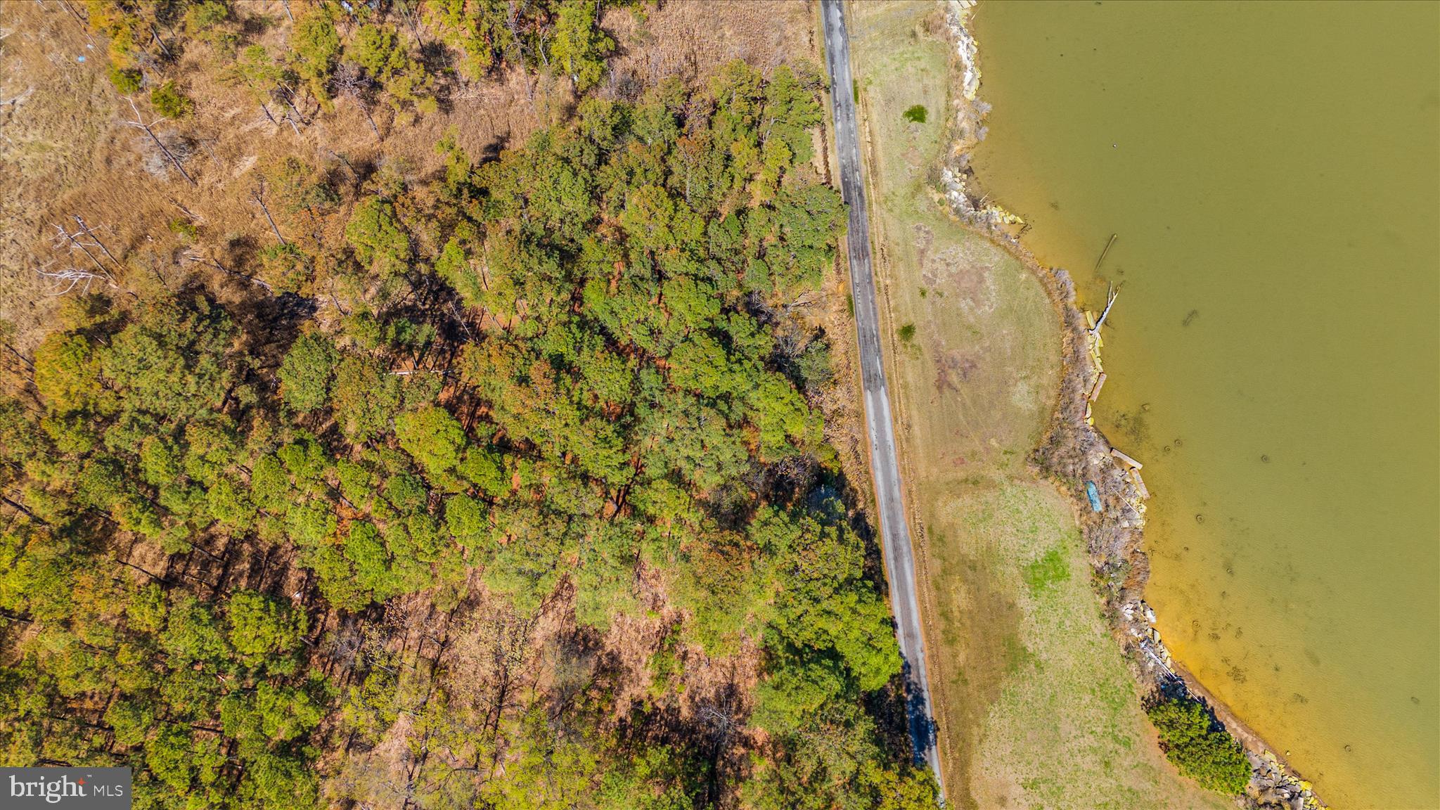 Condon Road Cambridge, MD 21613 - Photo 6 of 27