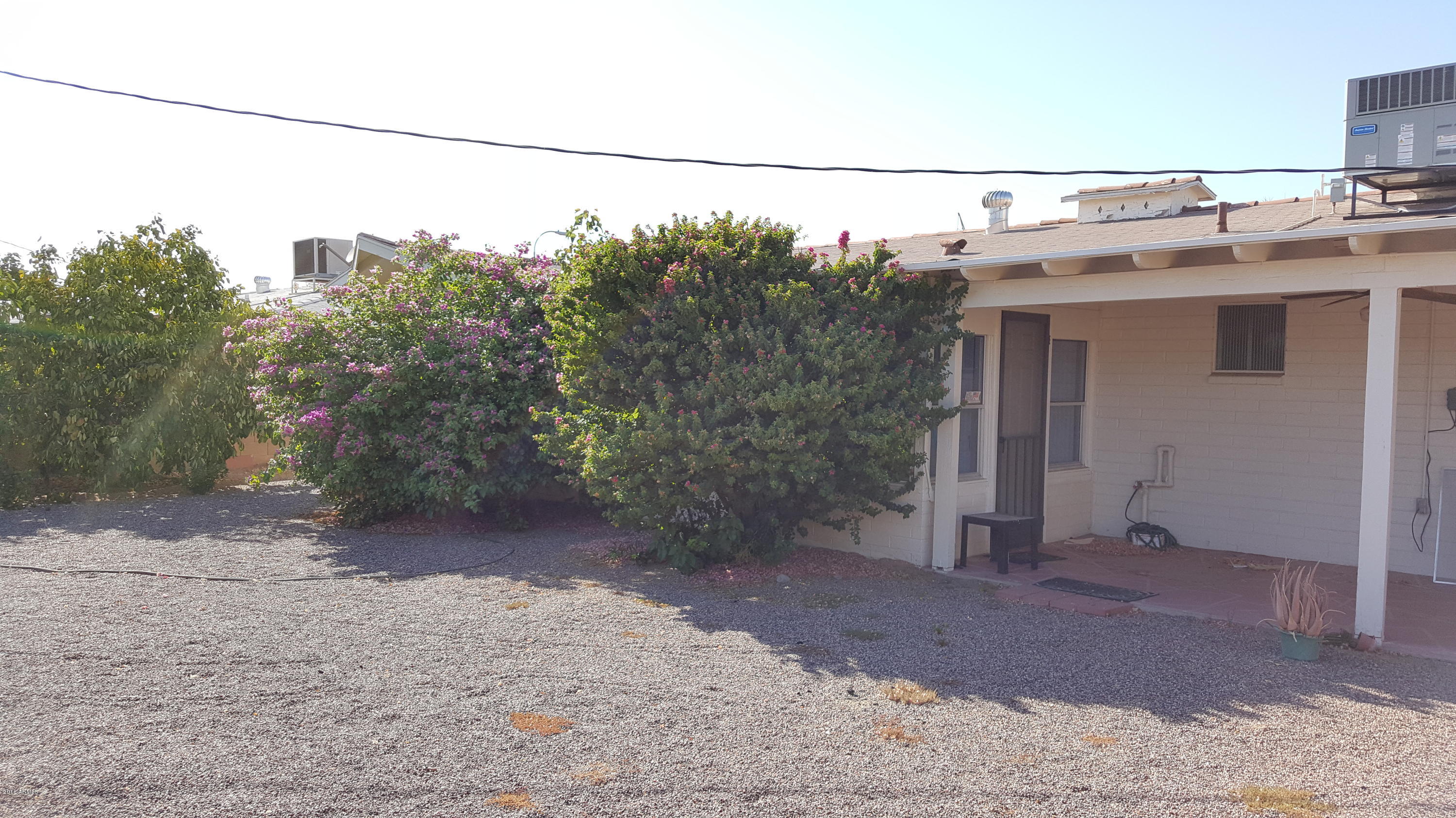 5443 Casper Road Mesa, AZ 85205 - Photo 11 of 24 Citrus