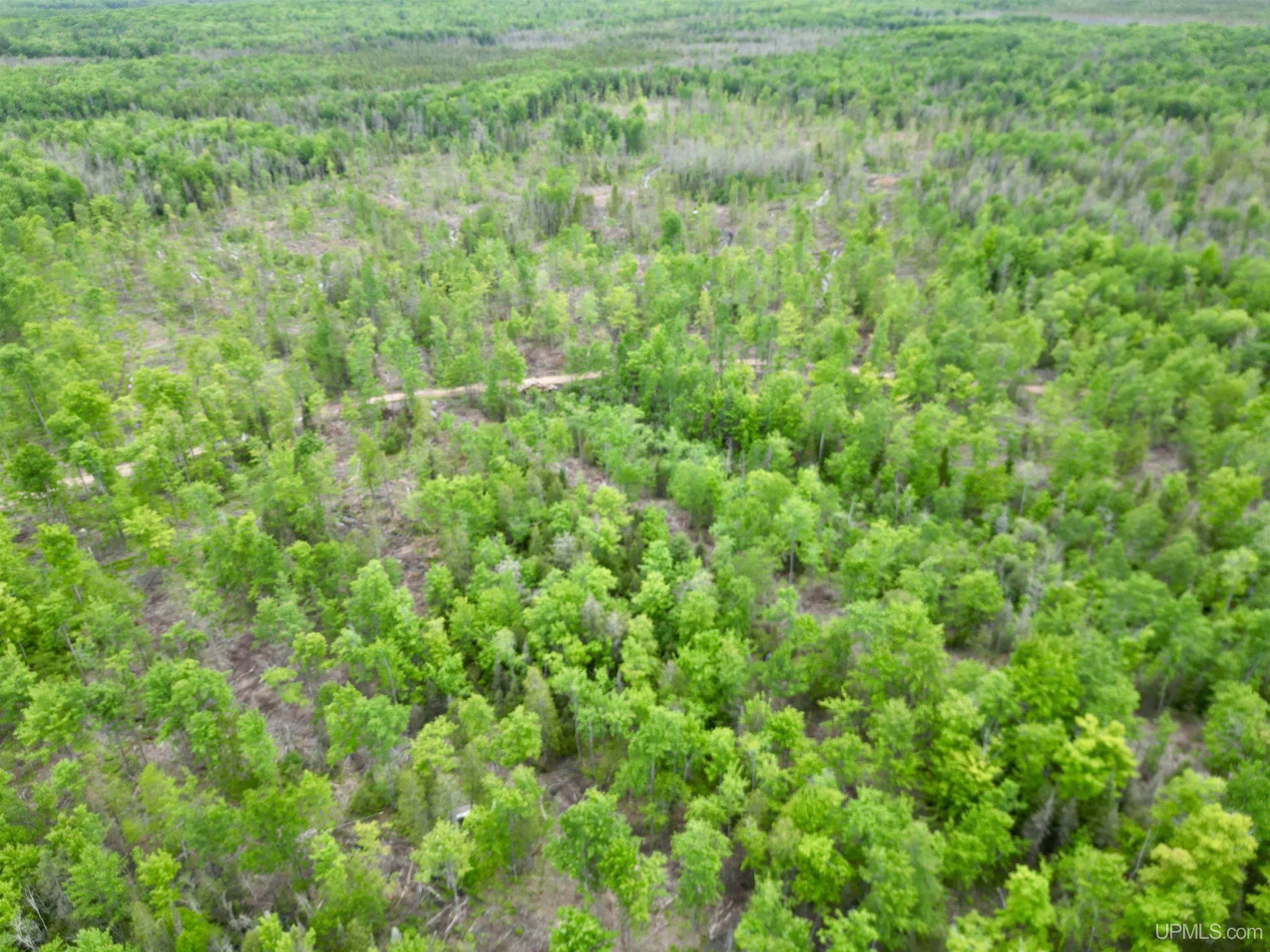 3601 Cr444 Road Rock, MI 49880 - Photo 49 of 78