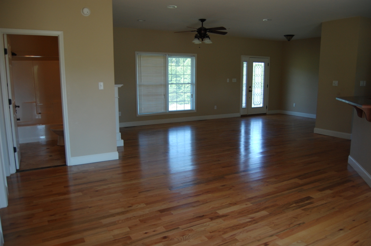 4626 Meadors Spur Road Moneta, VA 24121 - Photo 4 of 12 Living Area and front entrance