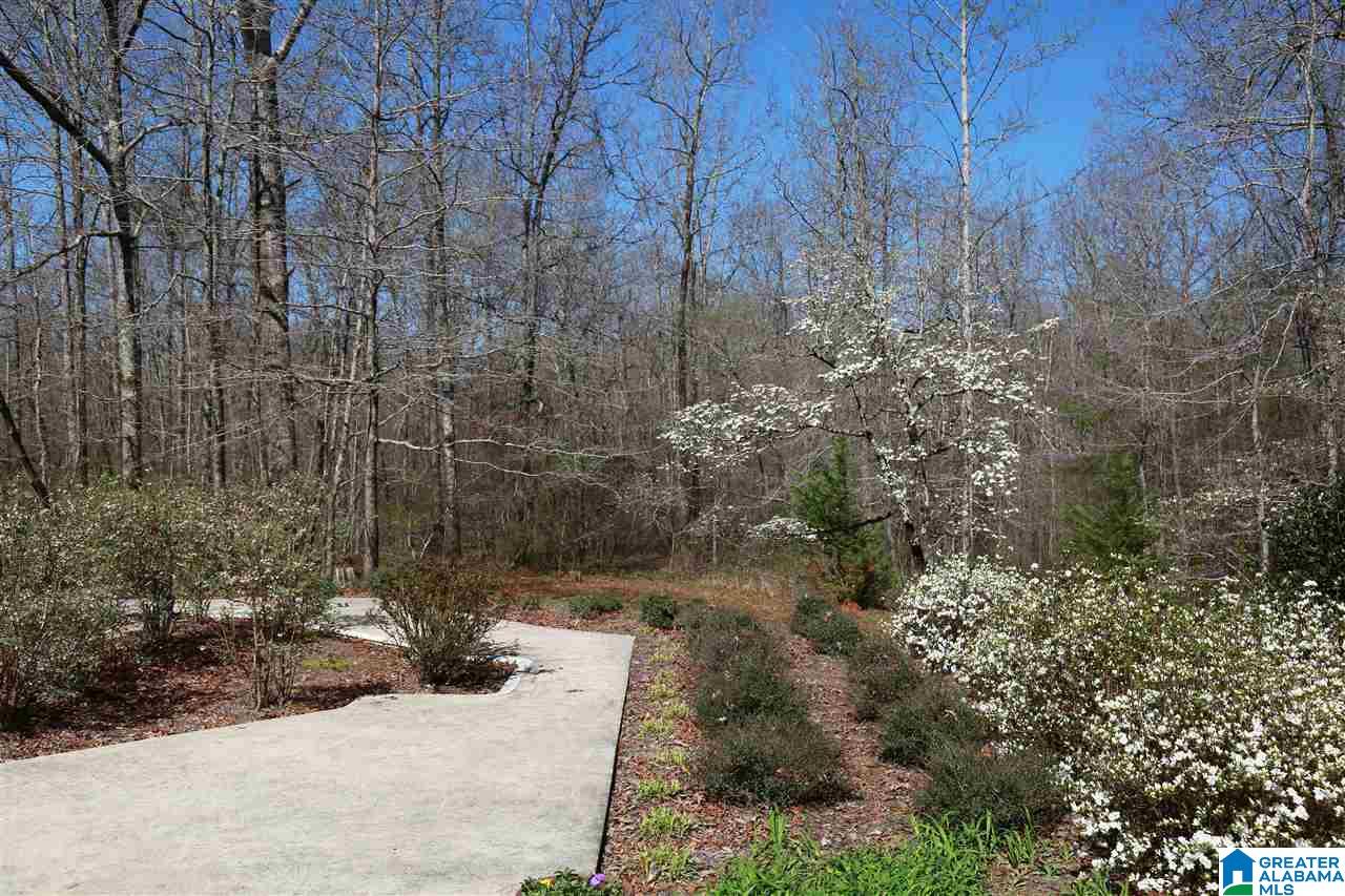 3127 North Walston Bridge Road Jasper, AL 35504 - Photo 34 of 34