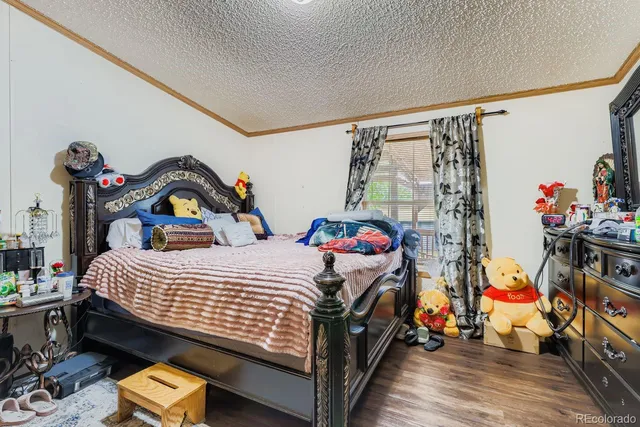 a bedroom with bed and a closet