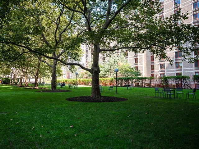 a garden view with large trees