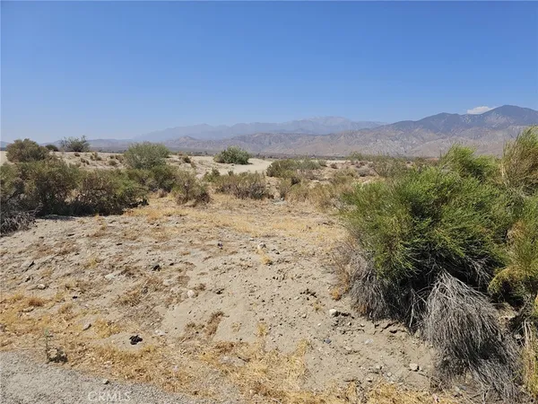 a view of a dry yard with mountains in the background