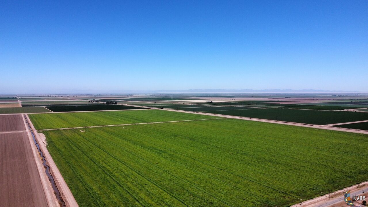 503 East Robinson Road Imperial, CA 92251 - Photo 8 of 12 Gallery Image 8