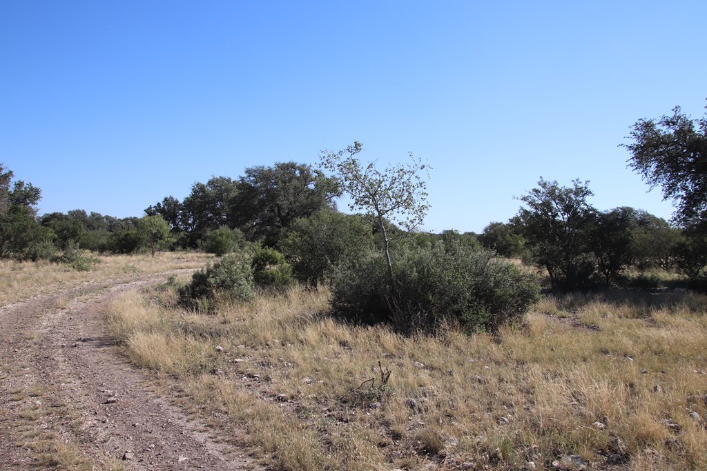 3618 Sd 52100 Rocksprings, TX 78880 - Photo 80 of 88
