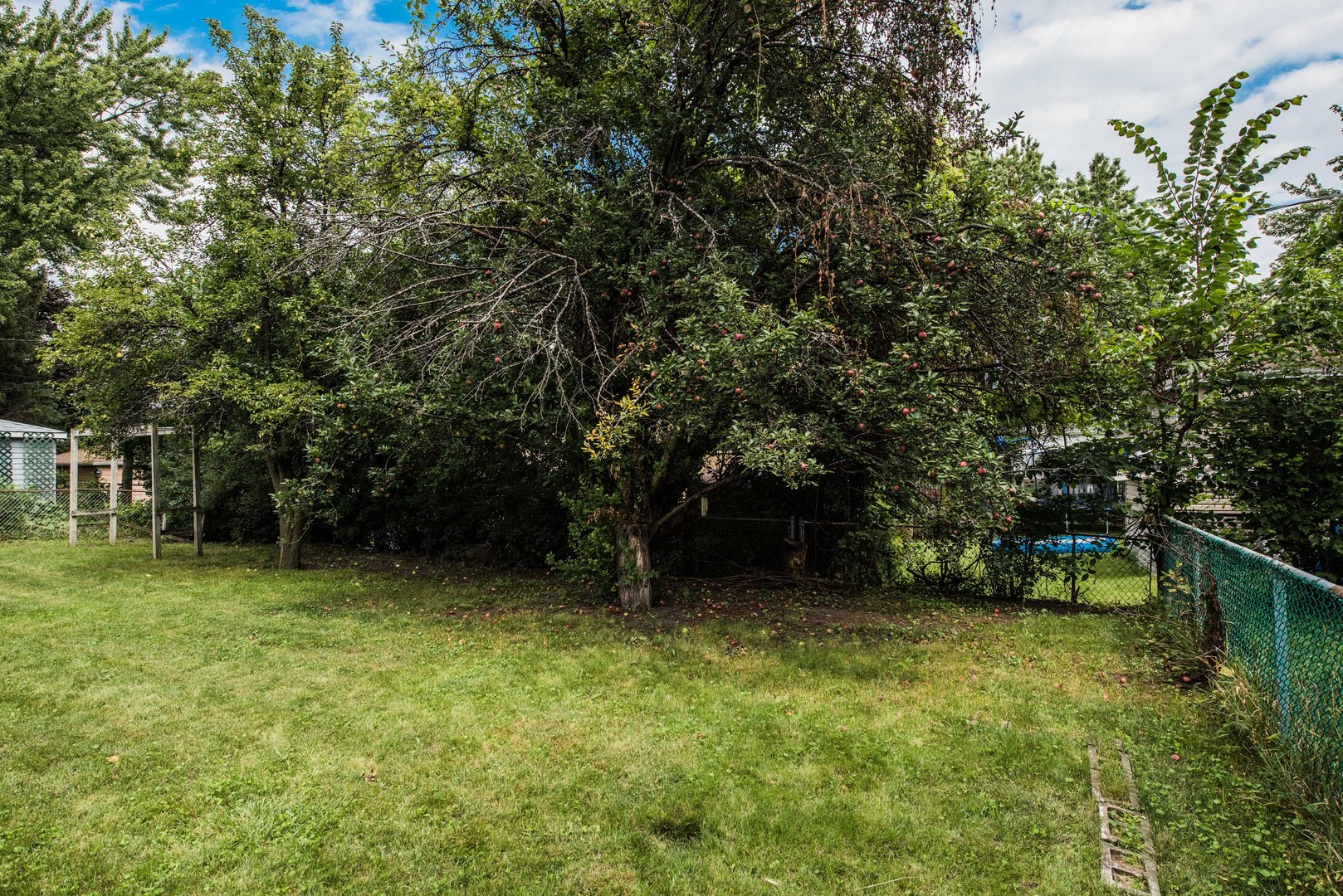 5 Highview Avenue Addison, IL 60101 - Photo 7 of 30