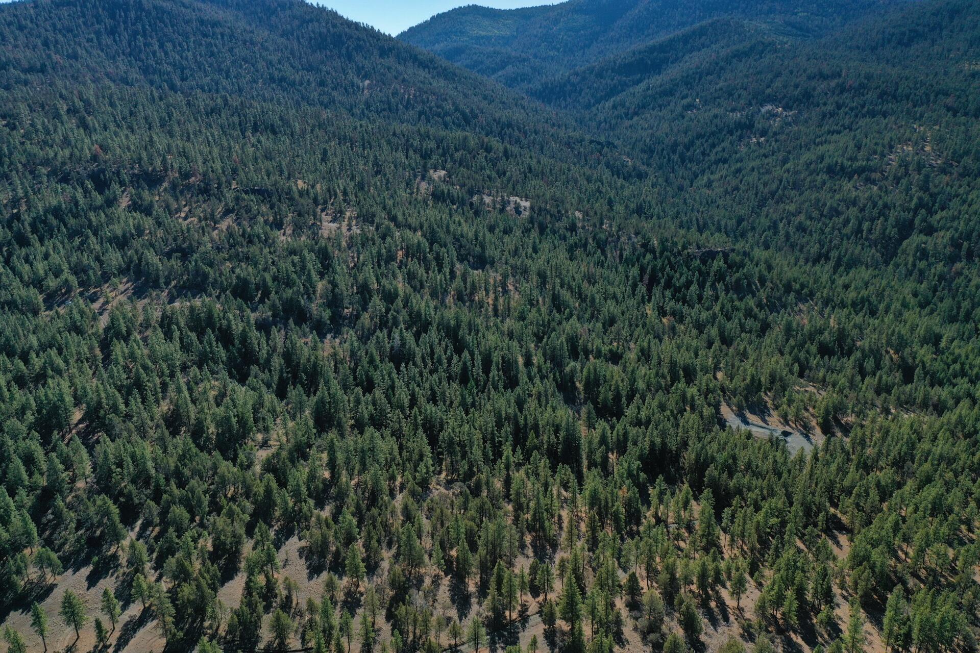 Nans Rock Rd Mount, Unit 3007 Mount Vernon, OR 97865 - Photo 7 of 16 DJI_0048