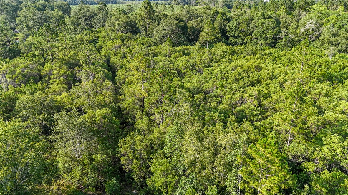 0 Foxwood Road Nahunta, GA 31553 - Photo 11 of 17