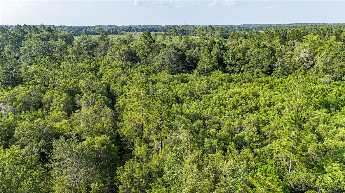 0 Foxwood Road Nahunta, GA 31553 - Photo 12 of 17