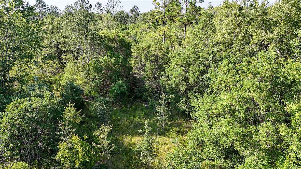 0 Foxwood Road Nahunta, GA 31553 - Photo 13 of 17