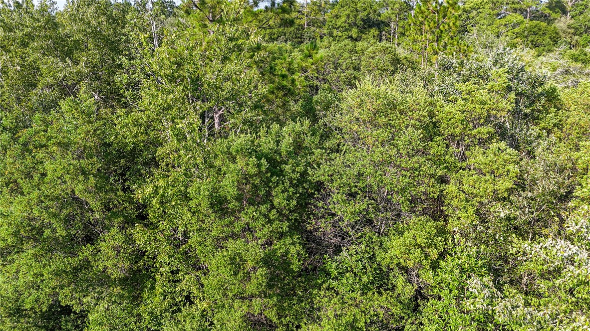 0 Foxwood Road Nahunta, GA 31553 - Photo 14 of 17