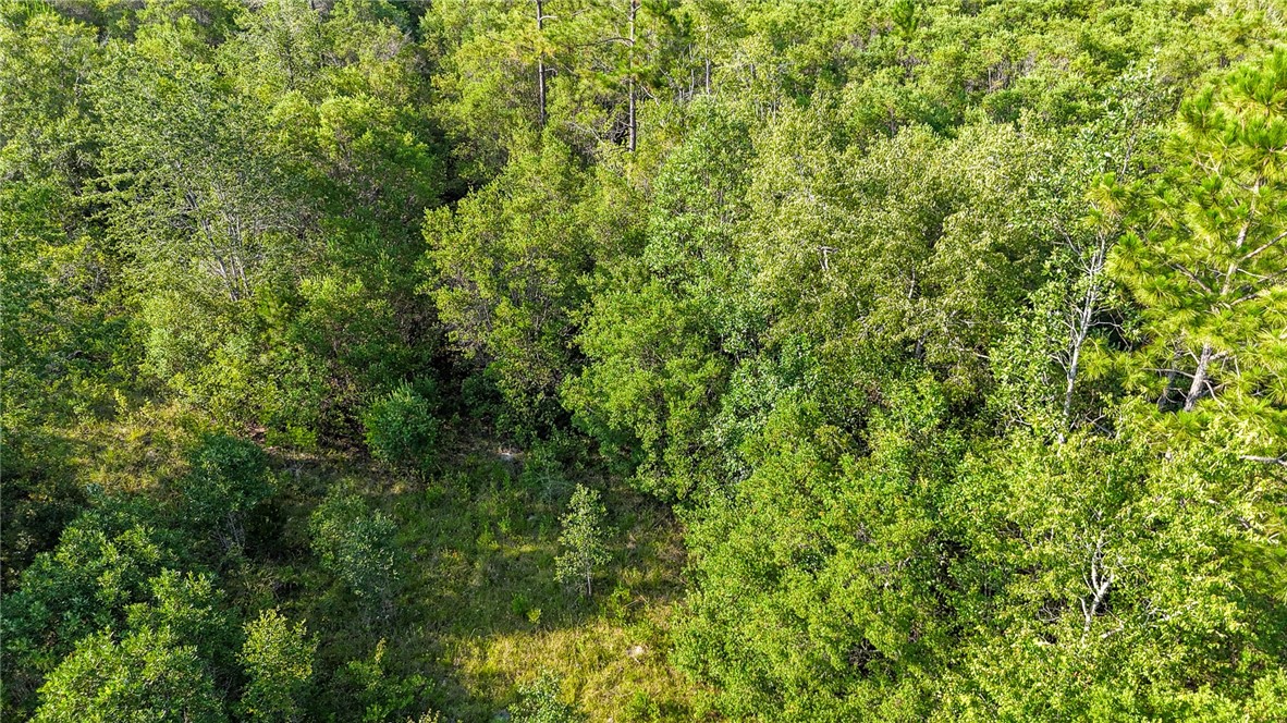 0 Foxwood Road Nahunta, GA 31553 - Photo 15 of 17