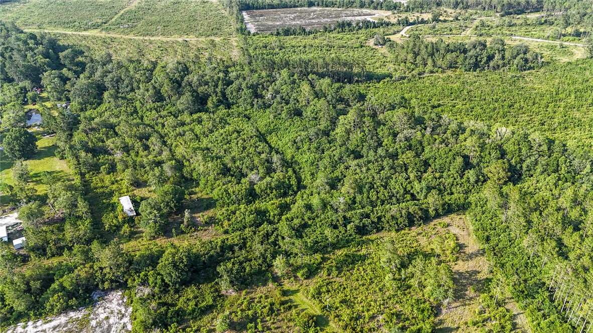 0 Foxwood Road Nahunta, GA 31553 - Photo 17 of 17