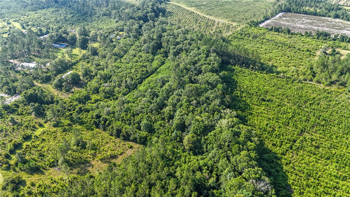 0 Foxwood Road Nahunta, GA 31553 - Photo 2 of 17