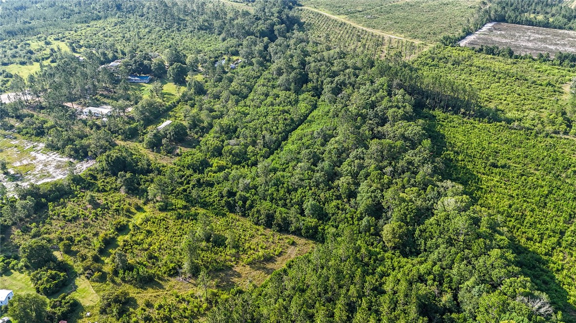 0 Foxwood Road Nahunta, GA 31553 - Photo 6 of 17