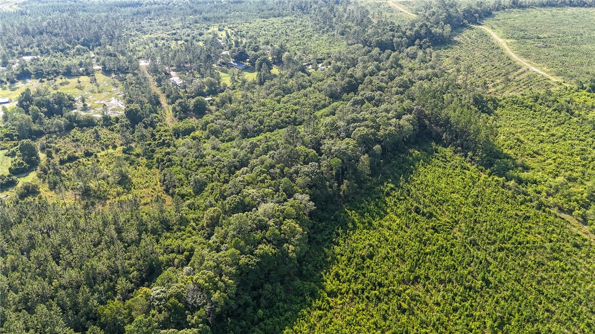 0 Foxwood Road Nahunta, GA 31553 - Photo 7 of 17