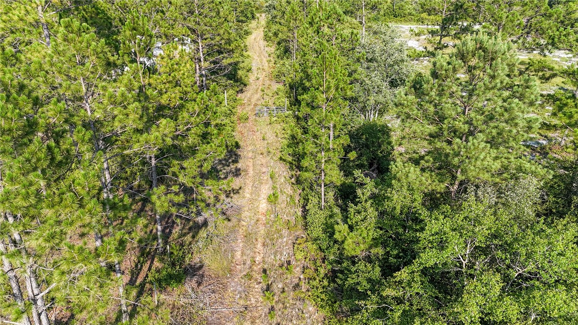 0 Foxwood Road Nahunta, GA 31553 - Photo 8 of 17