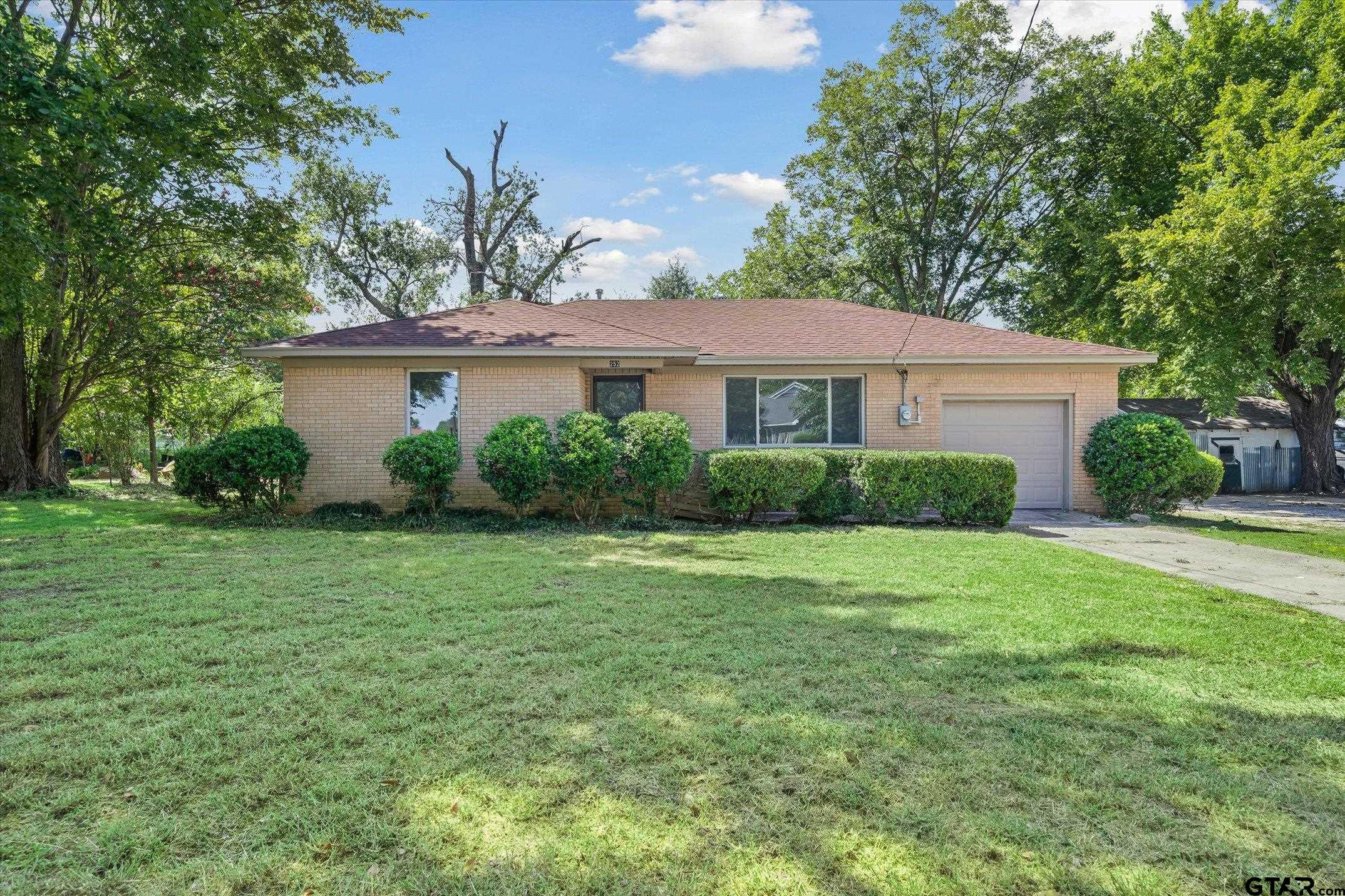 252 East Main Street Van, TX 75790 - Photo 1 of 14