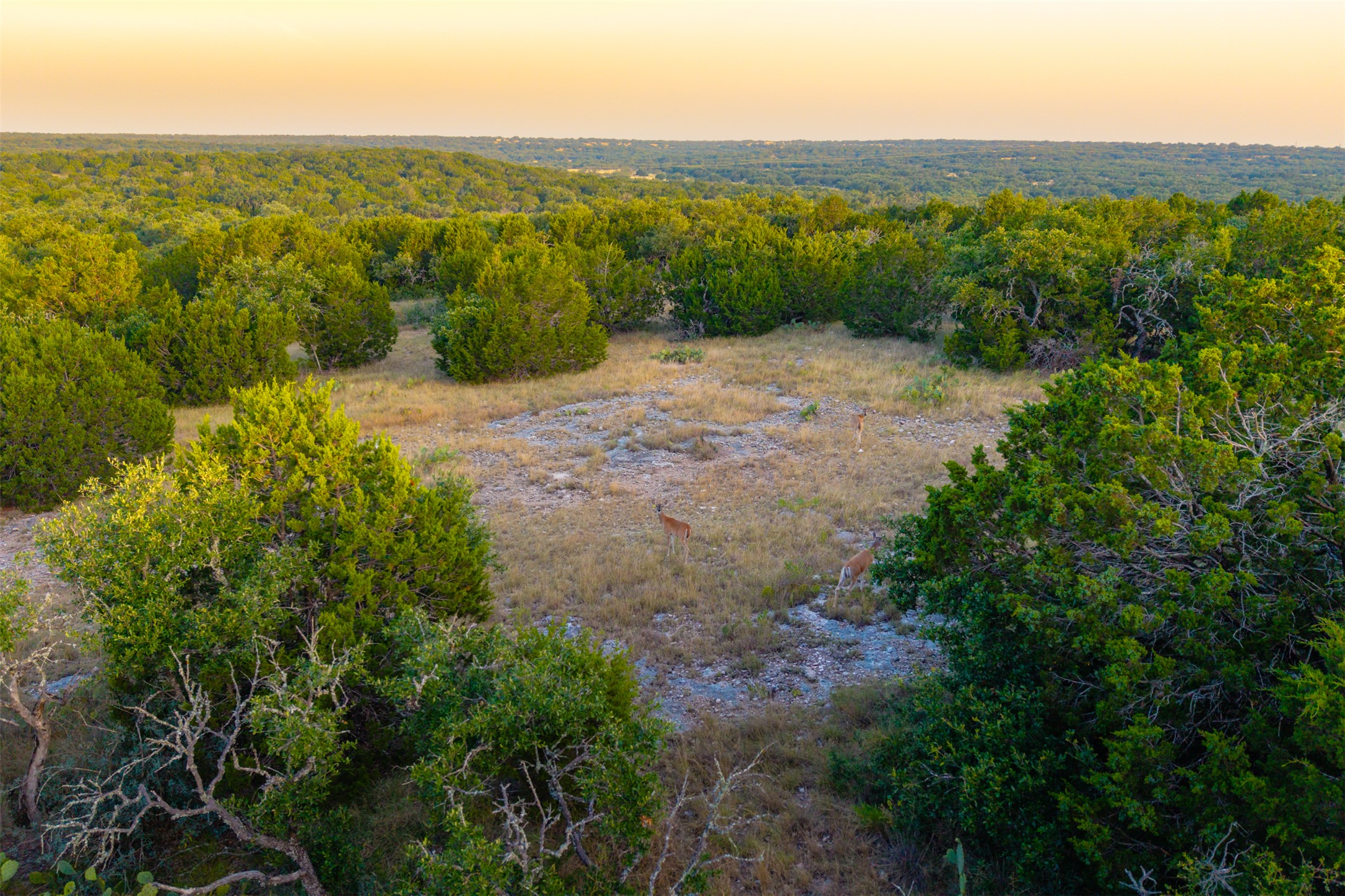 572 Turner Road Menard, TX 76859 - Photo 31 of 40 Gallery Image 31