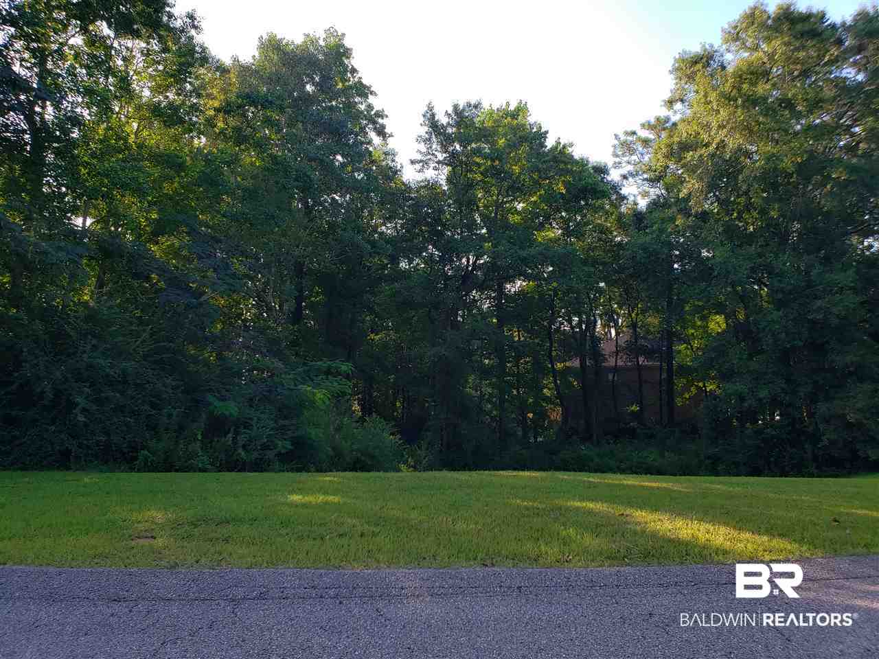 0 South Dawes Lake Road Mobile, AL 36695 - Photo 4 of 4