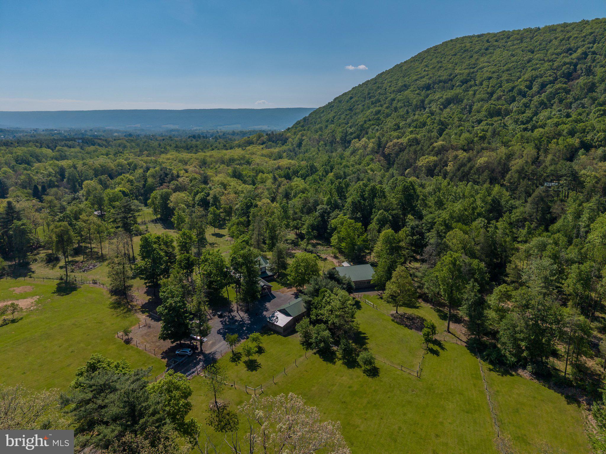 1520 Lingle Valley Road Milroy, PA 17063 - Photo 11 of 144 Serene retreat amidst lush greenery.