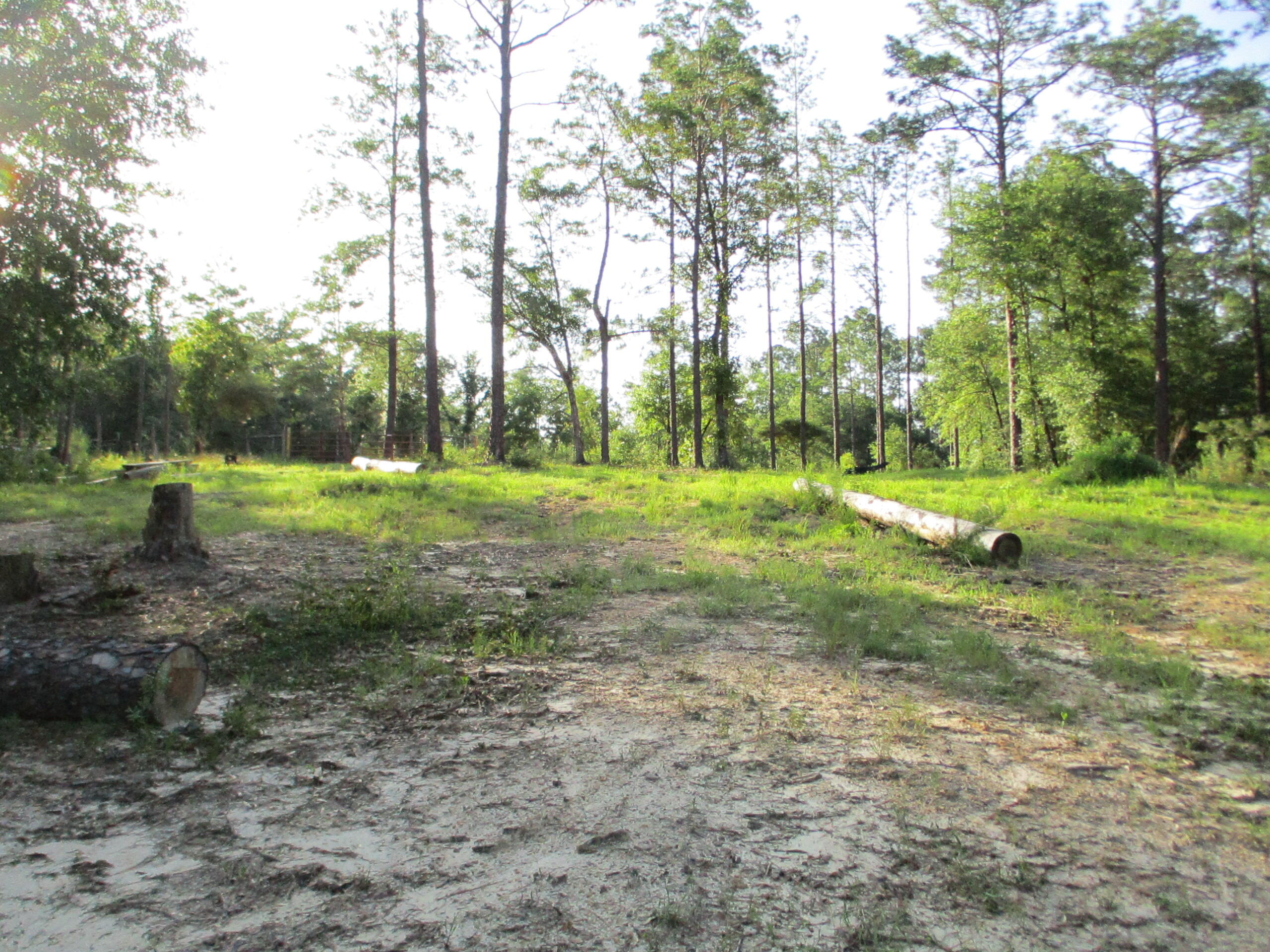 5410 Fawn Lake Road Crestview, FL 32539 - Photo 39 of 52 IMG_2931