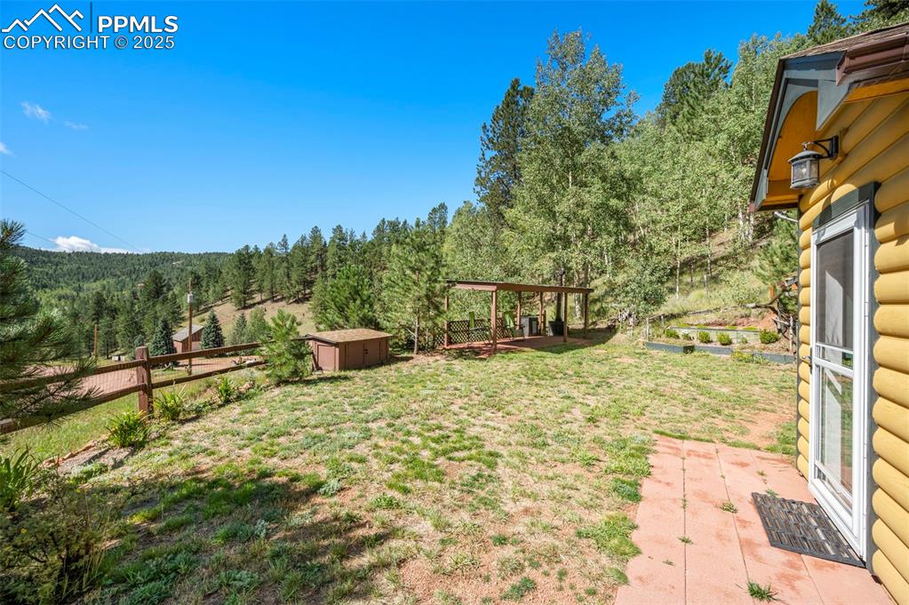 183 Beaver Pond Road Divide, CO 80814 - Photo 2 of 28 a view of a yard with an outdoor space