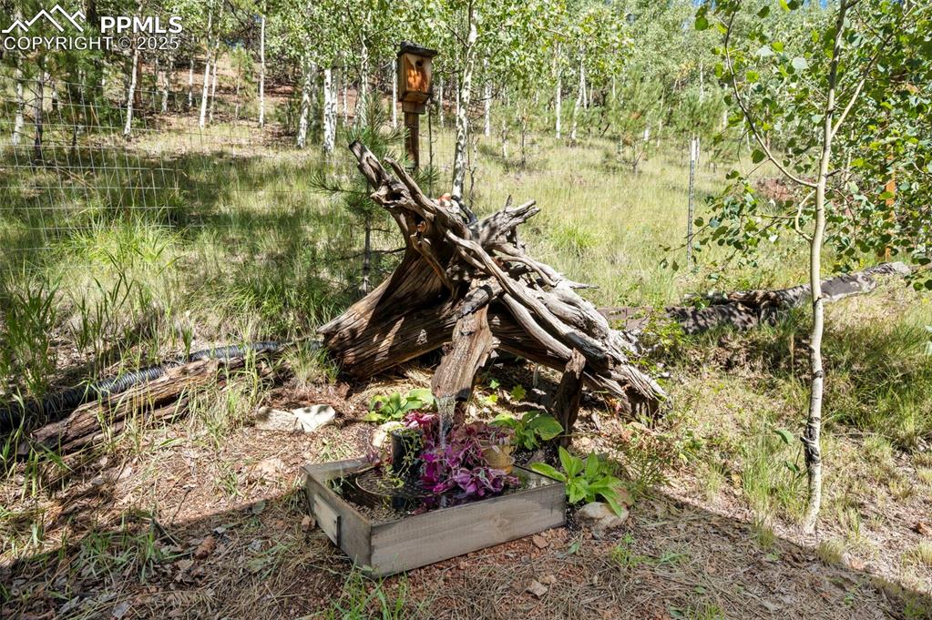 183 Beaver Pond Road Divide, CO 80814 - Photo 22 of 28 a view of outdoor space