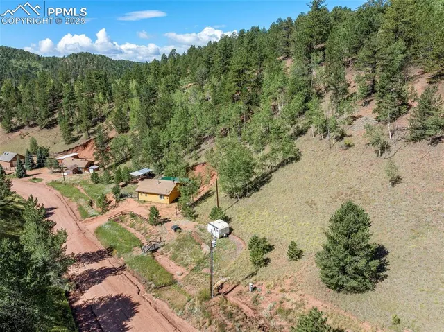 a view of a forest with a lake