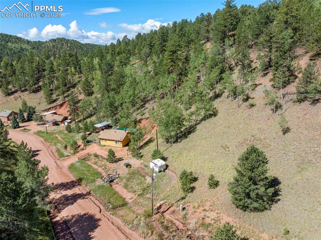 183 Beaver Pond Road Divide, CO 80814 - Photo 26 of 28 a view of a houses with yard