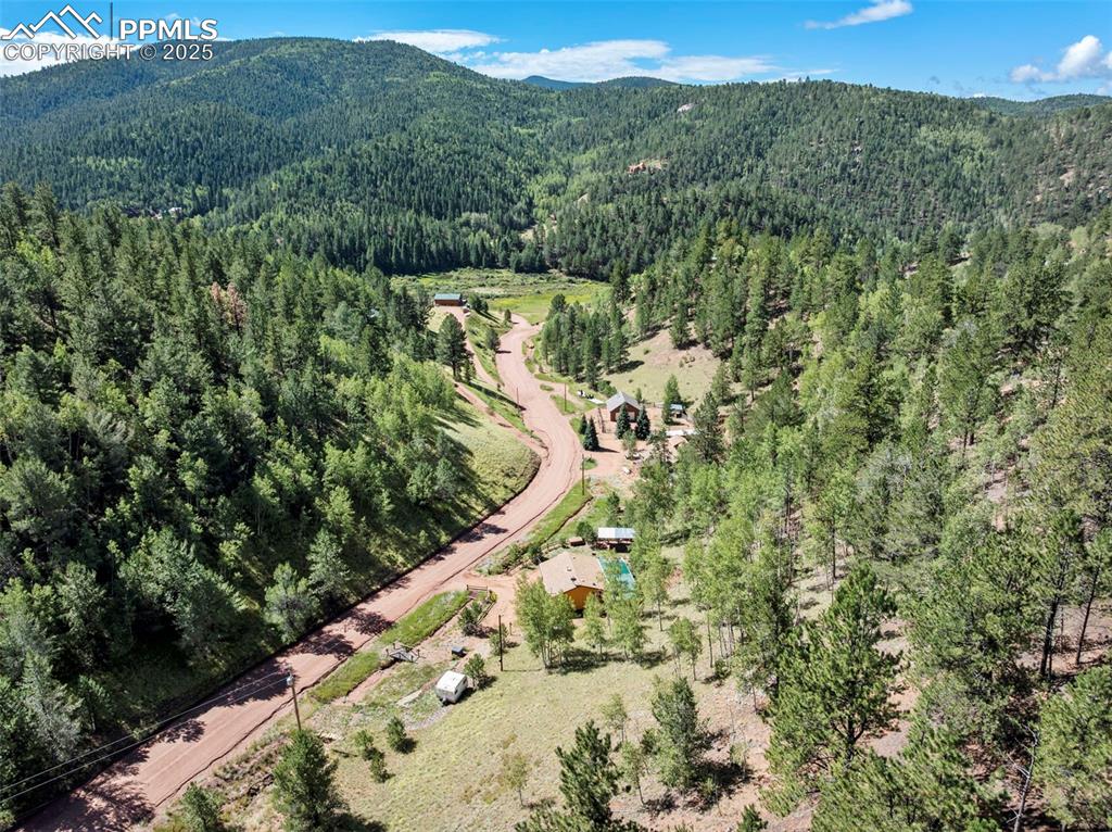 183 Beaver Pond Road Divide, CO 80814 - Photo 27 of 28 a view of a forest with a lake