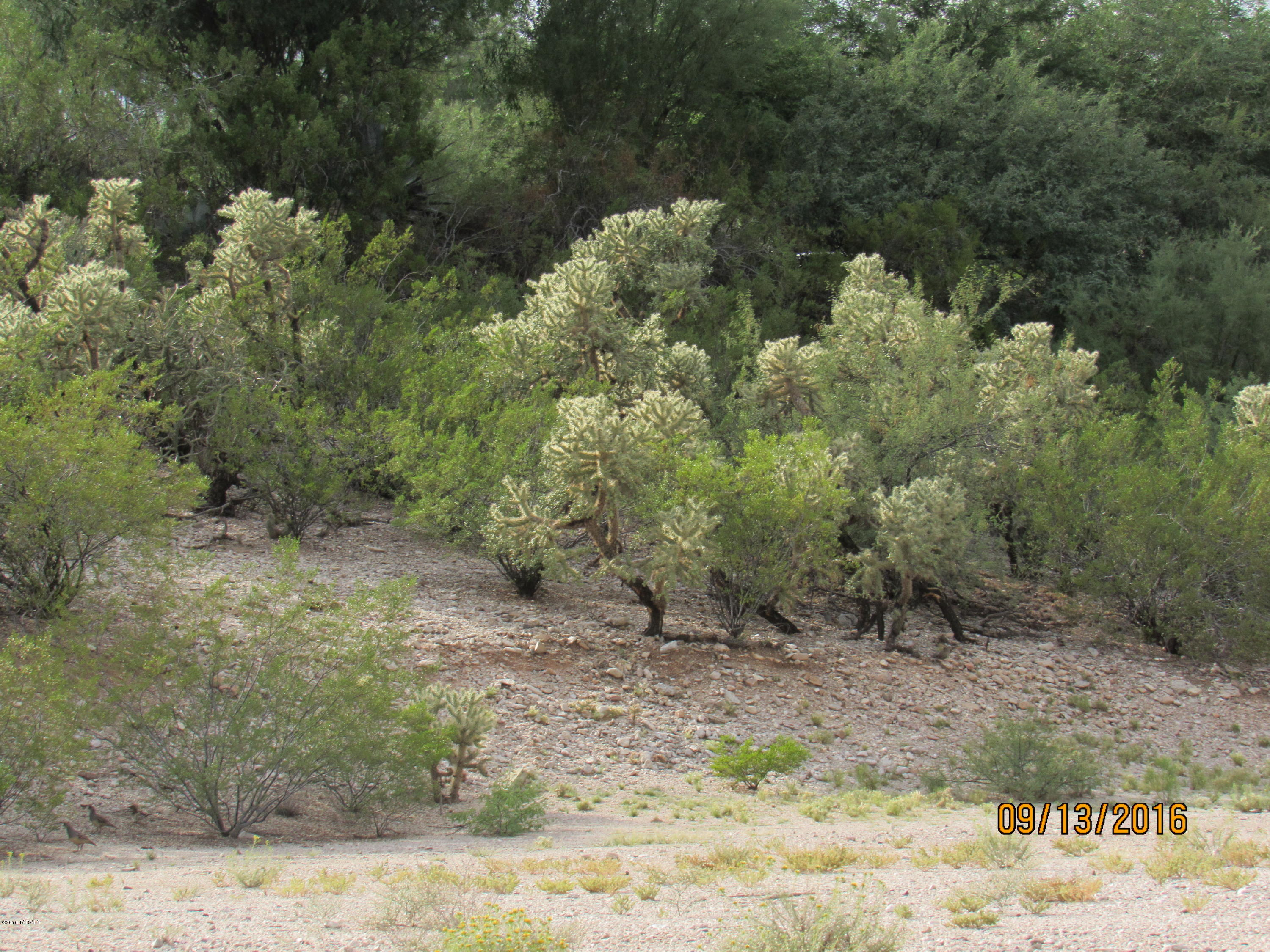 3533 North Craycroft Road Tucson, AZ 85718 - Photo 14 of 30 Gallery Image 14