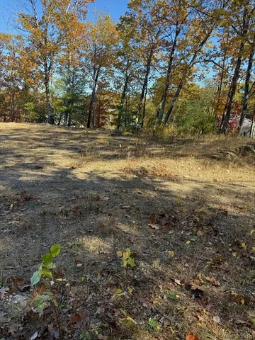 a view of water view with large trees