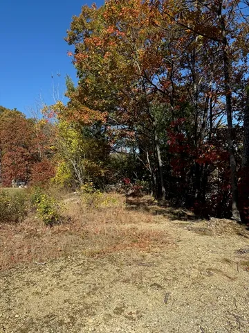 a view of a yard covered in snow