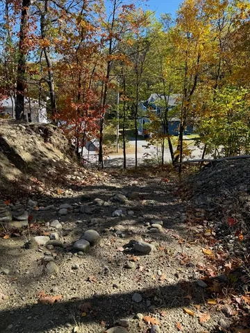 a view of a yard with a tree