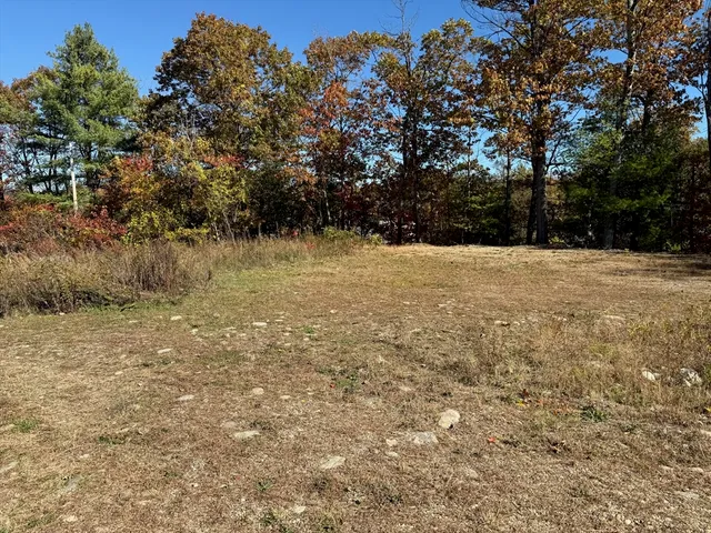 a view of empty field with trees