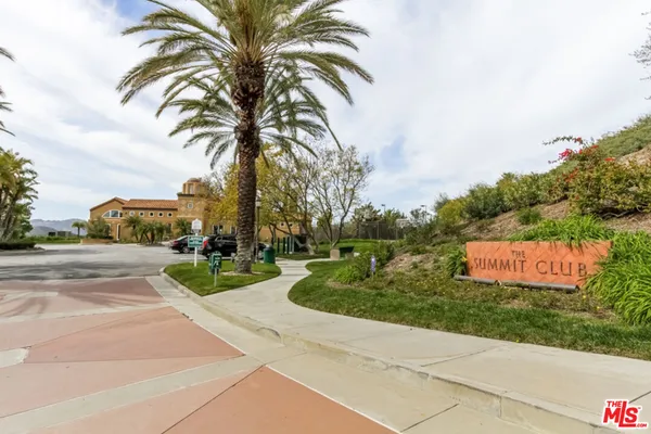 a view of a park with palm trees