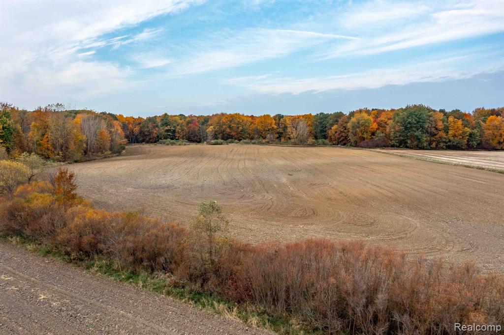 0 Wood Road Marlette, MI 48453 - Photo 13 of 20