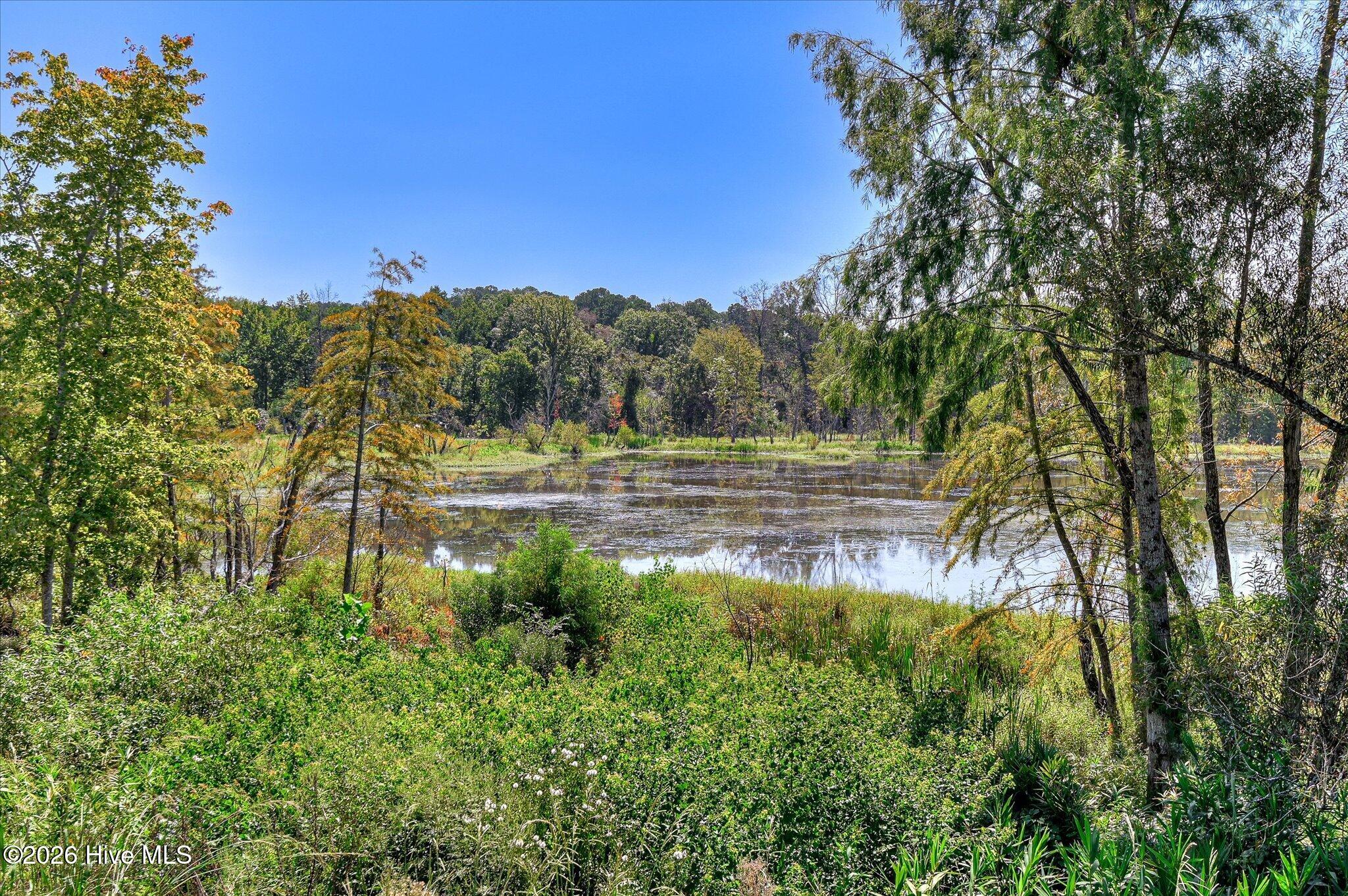 657 Whitney Shls Road Evans, GA 30809 - Photo 69 of 89 Gallery Image 69