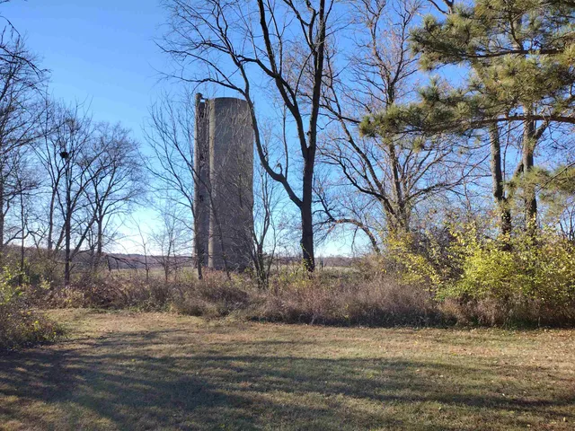 a view of a yard with plants and trees