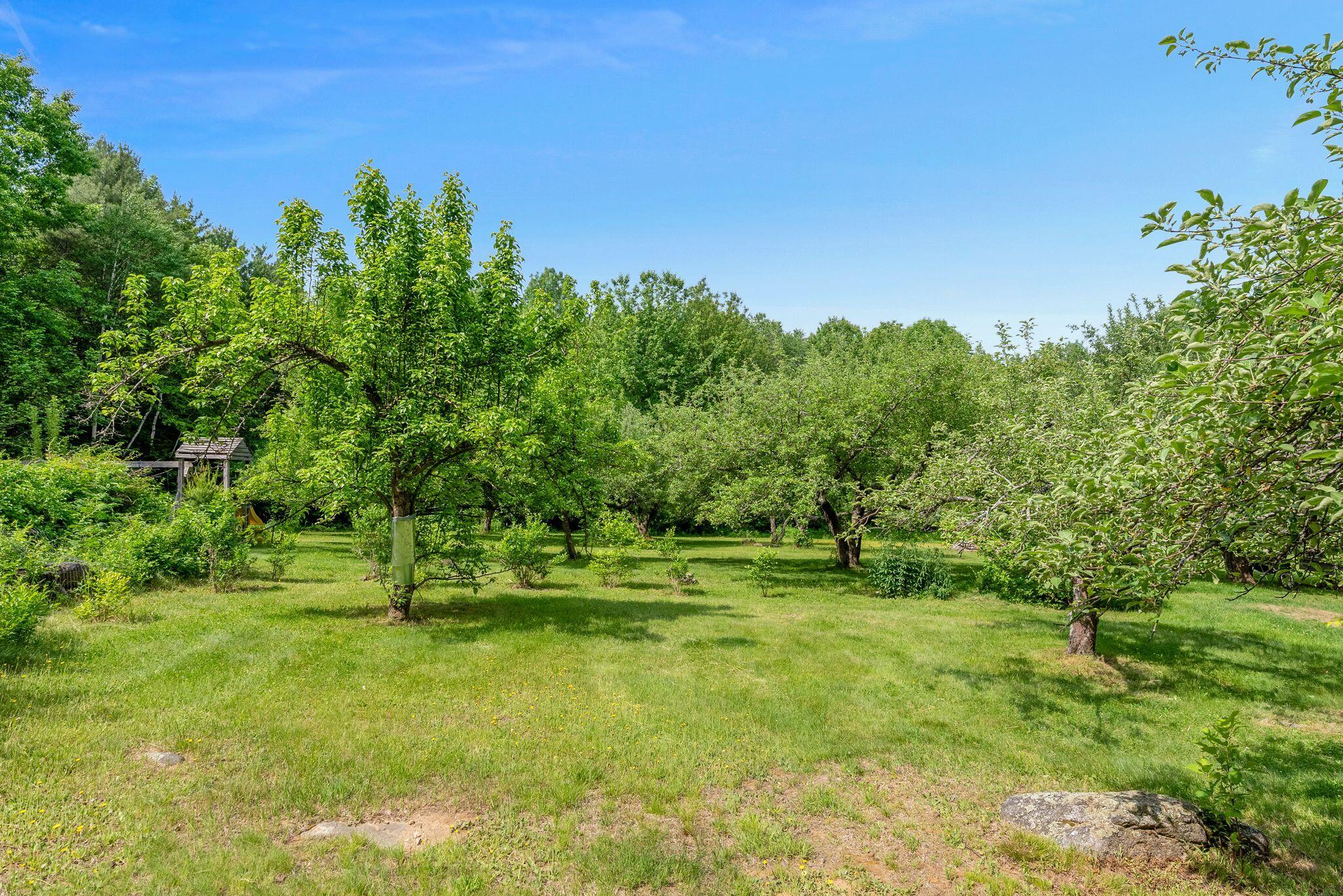 286 Watson Hill Road Limerick, ME 04048 - Photo 71 of 72 8_DSC08494 copy