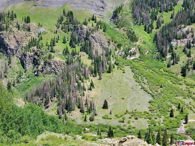 a view of a garden with a building