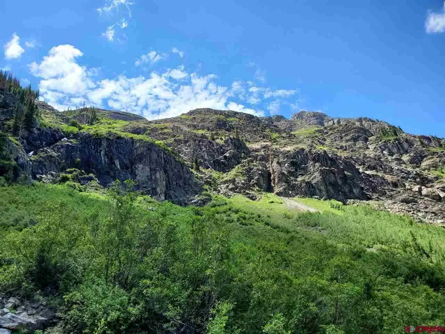 a view of a lush green outdoor space with lots of trees
